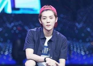 吃瓜娱乐陈伟霆马天宇,吃瓜娱乐界新篇章